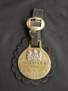 RSPCA